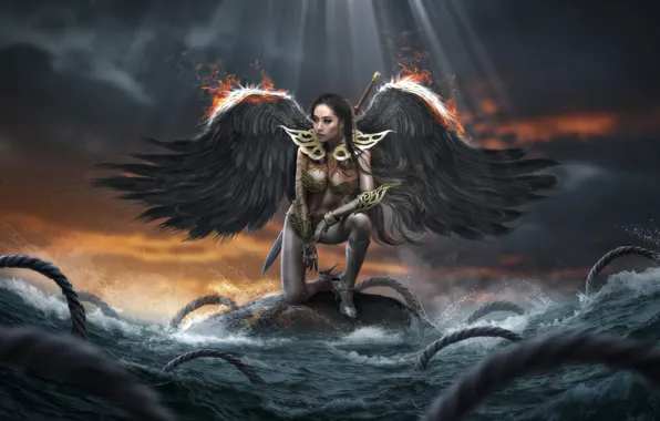 Sea, wave, look, girl, pose, stone, wings, angel