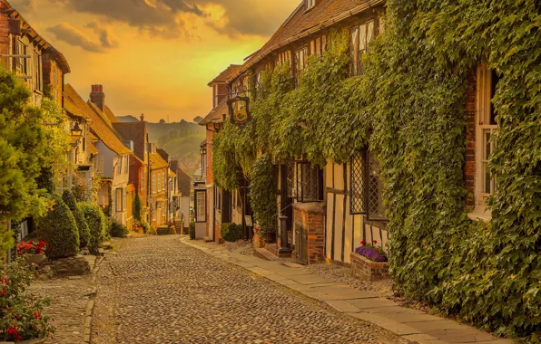 Picture road, street, England, home, Paradise, street, England, East Sussex