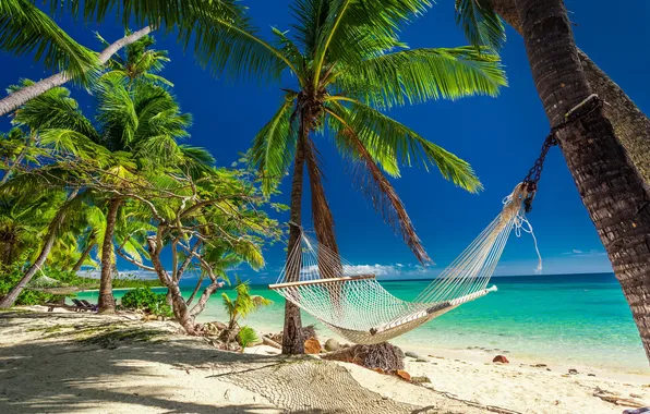 Picture sand, beach, the sky, clouds, landscape, nature, palm trees, the ocean