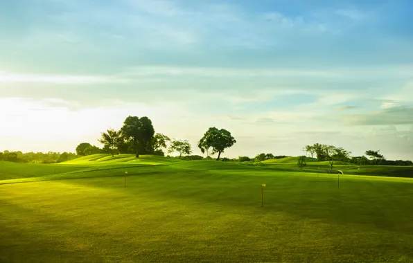 The sky, grass, clouds, trees, nature, hills, sport, landscapes