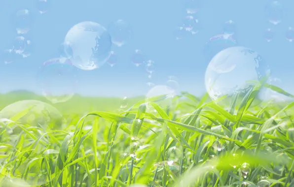 Greens, the sky, grass, bubbles, soap, soap