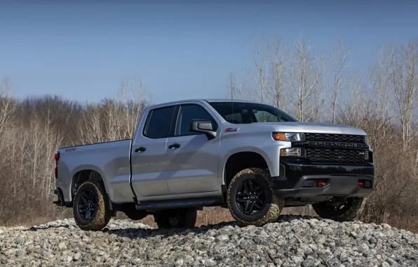 Picture forest, the sky, trees, stones, Chevrolet, pickup, Custom, Silverado