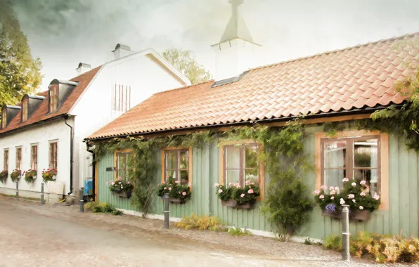 Summer, flowers, house, street, home, houses, boxes, painting