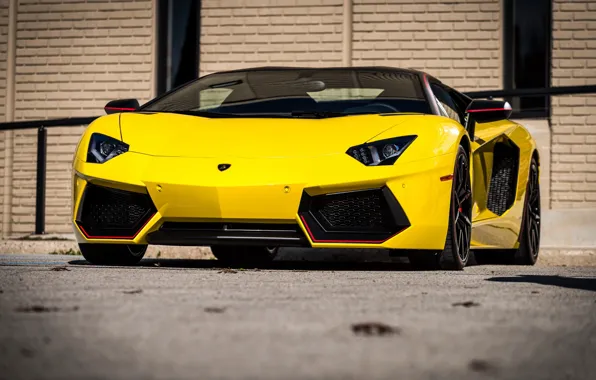 Picture Lamborghini, Pirelli, Edition, Avendator