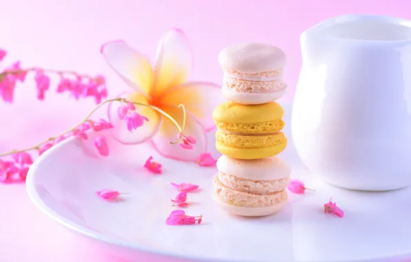 Flowers, cakes, plumeria, Pasta
