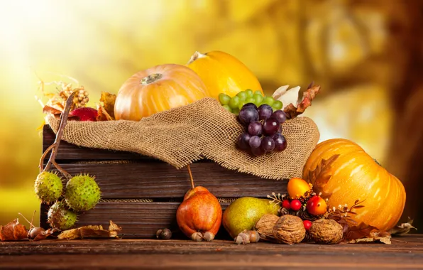 Picture autumn, harvest, grapes, pumpkin, fruit, nuts, box, vegetables