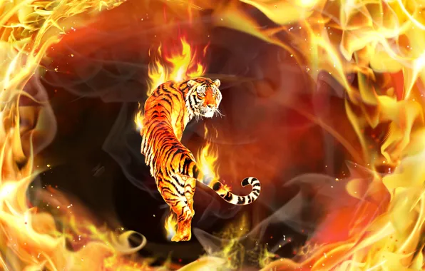 Flame, Tiger, it, flame, hugs, around