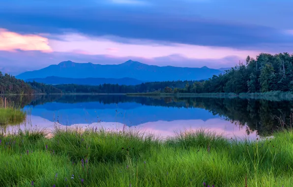 Greens, forest, summer, the sky, grass, clouds, mountains, lake