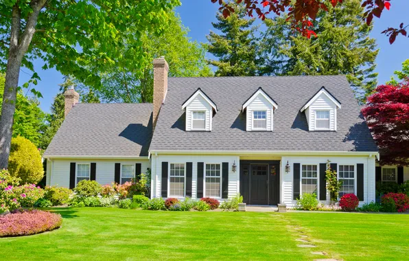 Picture greens, the sky, grass, the sun, trees, design, house, lawn