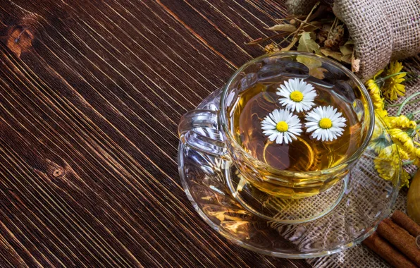 Grass, flowers, tea, Daisy, drink, Tea, Cup, Drinks