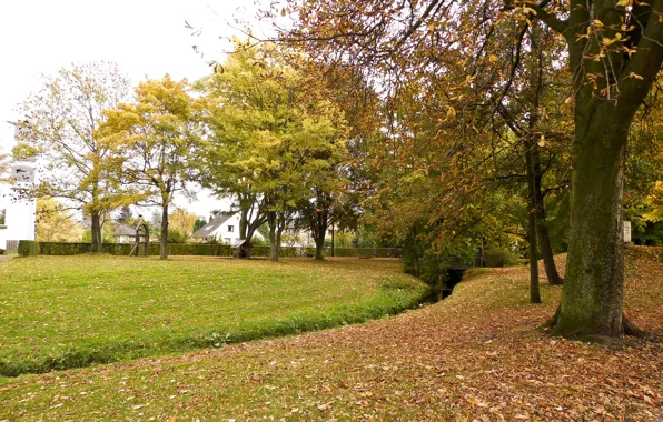 Picture autumn, Park, foliage, falling leaves, park, Autumn, leaves, fall