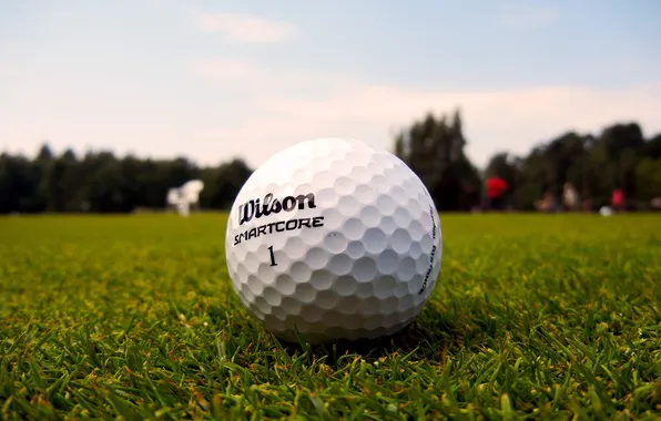 Picture grass, lawn, the ball, Golf, golf, ball