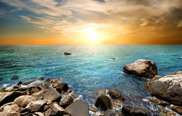 Sea, trees, sunset, stones, shore, beach, trees, sea