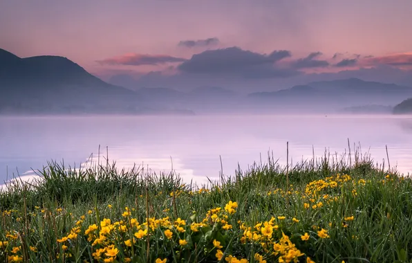 Grass, flowers, mountains, lake, haze, England, Pooley Bridge