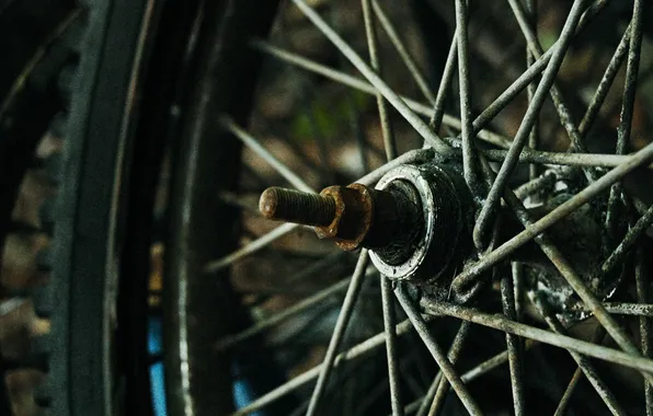 Bike, camera, wheel, spokes, tire, bushing