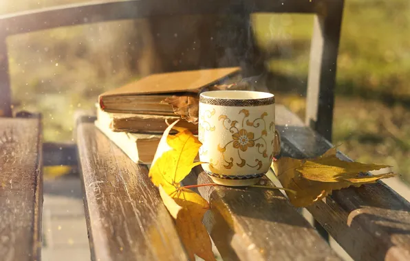 Picture autumn, leaves, light, bench, yellow, Park, tea, hot
