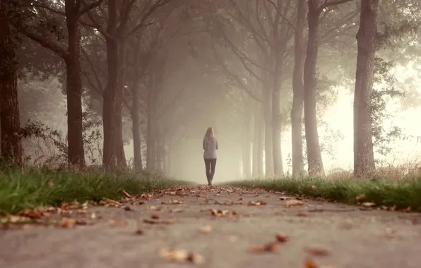 Picture grass, leaves, girl, trees, fog, Park, the way, walking