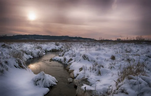 Picture winter, field, forest, snow, river