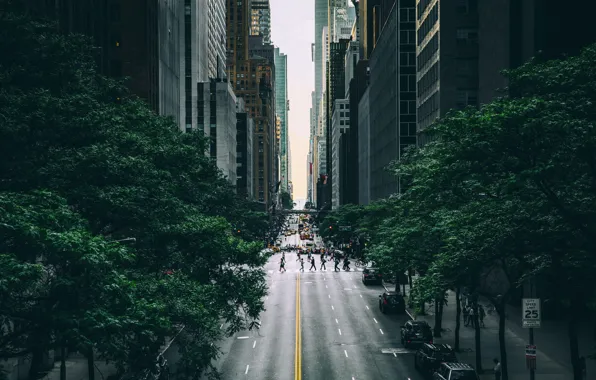 The city, street, USA, New York