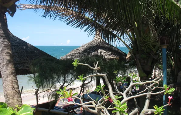 Picture the ocean, the hotel, Vietnam