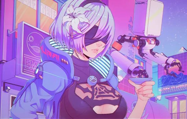 Nier, nier automata, nier 2b