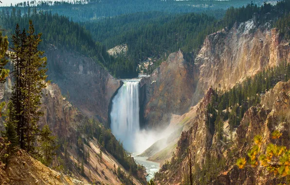Forest, rocks, waterfall, Wyoming, Yellowstone National Park, Lower Falls, USА, Canyon Junction