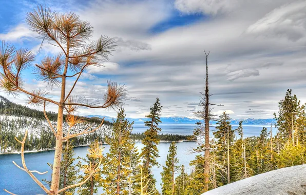 Forest, snow, trees, mountains, lake, CA, USA, Tahoe