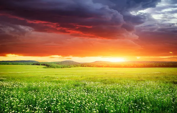 Picture field, the sky, grass, sunset, sky, landscape, nature, sunset