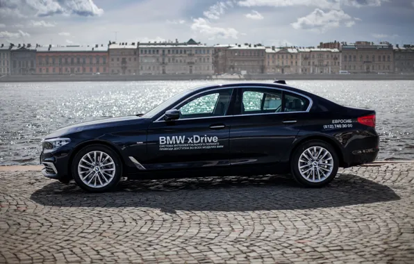 Car, machine, auto, city, fog, race, bmw, BMW