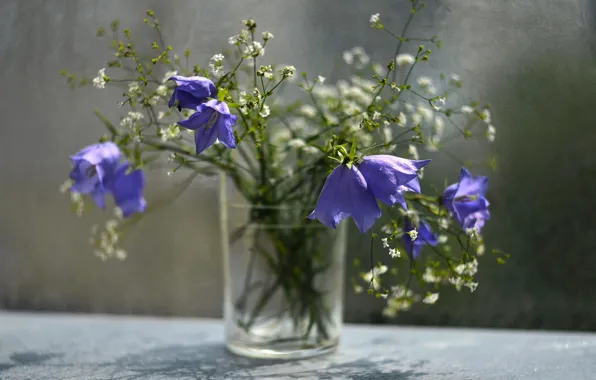 Flowers, glass, still life, bells, lilac