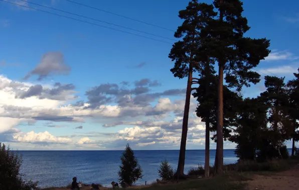 The sky, clouds, trees, nature, lake, photo, Russia, Ladoga