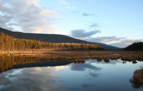 Water, trees, hills, spill