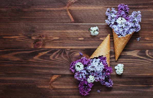 Flowers, horn, wood, flowers, lilac, spring, lilac, cone