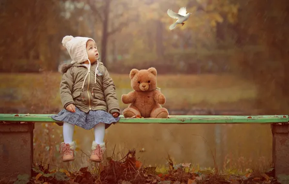 Autumn, nature, rain, bird, toy, dove, bear, girl