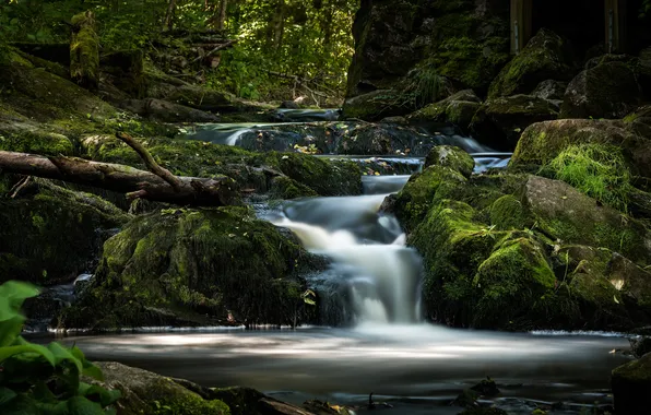 Stream, stones, waterfall, moss, river, Sweden, Sweden, Uppsala