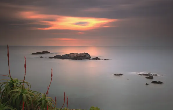 Sea, the sky, clouds, stones, rocks, glow, aloe, agave
