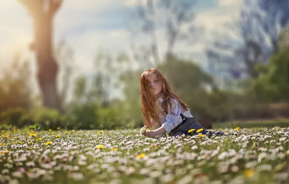 Picture look, flowers, mood, hair, meadow, girl, red, redhead
