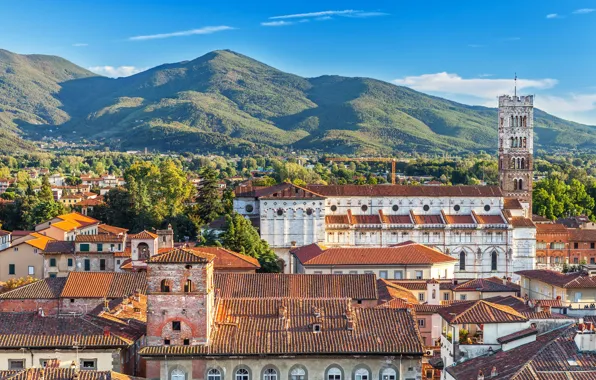 Picture nature, roof, Italy