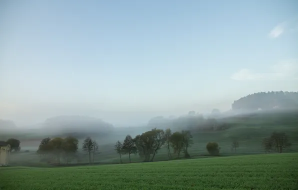 Picture field, forest, the sky, clouds, trees, landscape, nature, fog