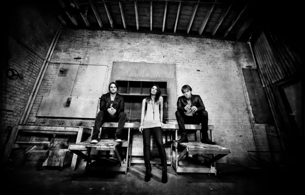 Picture rock, rock, sick puppies, alternative rock, Emma The Take-Off, Mark Goodwin, Shimon Moore