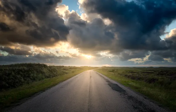 Picture road, field, morning