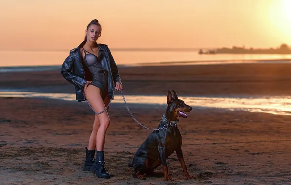 Picture sand, beach, look, girl, sunset, pose, river, dog