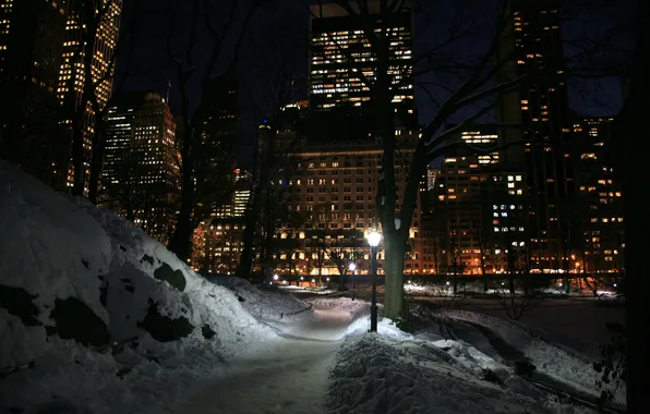 Picture winter, the sky, snow, trees, night, city, the city, lights