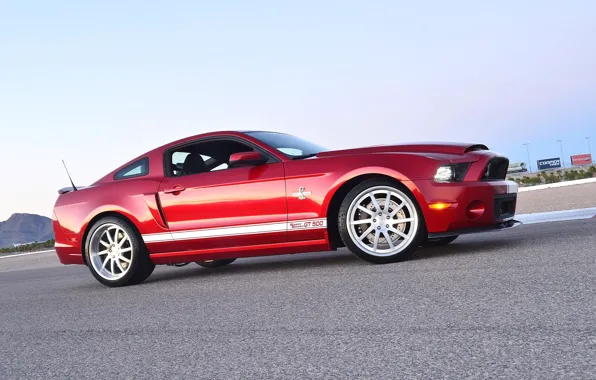 Picture Shelby, GT500, 2014, Super Snake