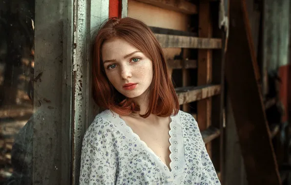 Freckles, sponge, the beauty, Albert Forest, Kate Tokareva