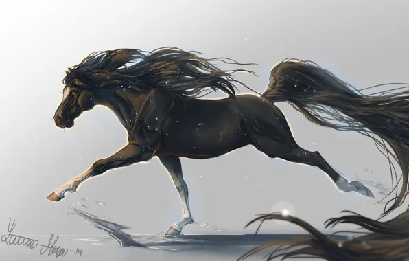 Animal, horse, horse, art, mane, tail, hooves