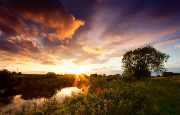 Picture the sky, grass, clouds, light, clouds, nature, river, tree