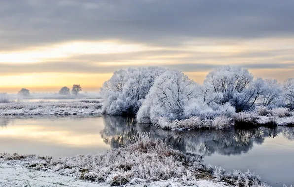 Winter, frost, snow, trees, river, Germany