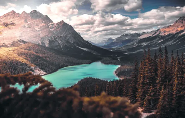 Picture forest, clouds, mountains, lake, height, ate, slope