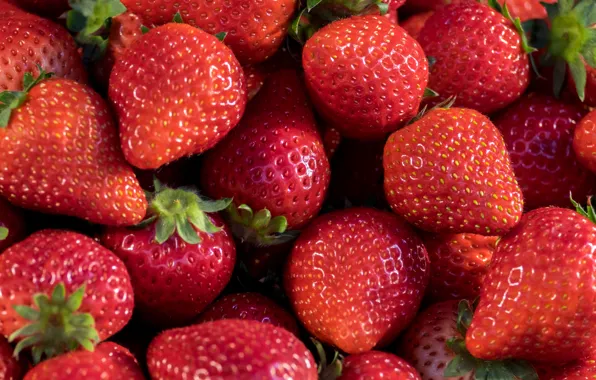 Picture berries, strawberry, red, fresh, wood, ripe, sweet, strawberry